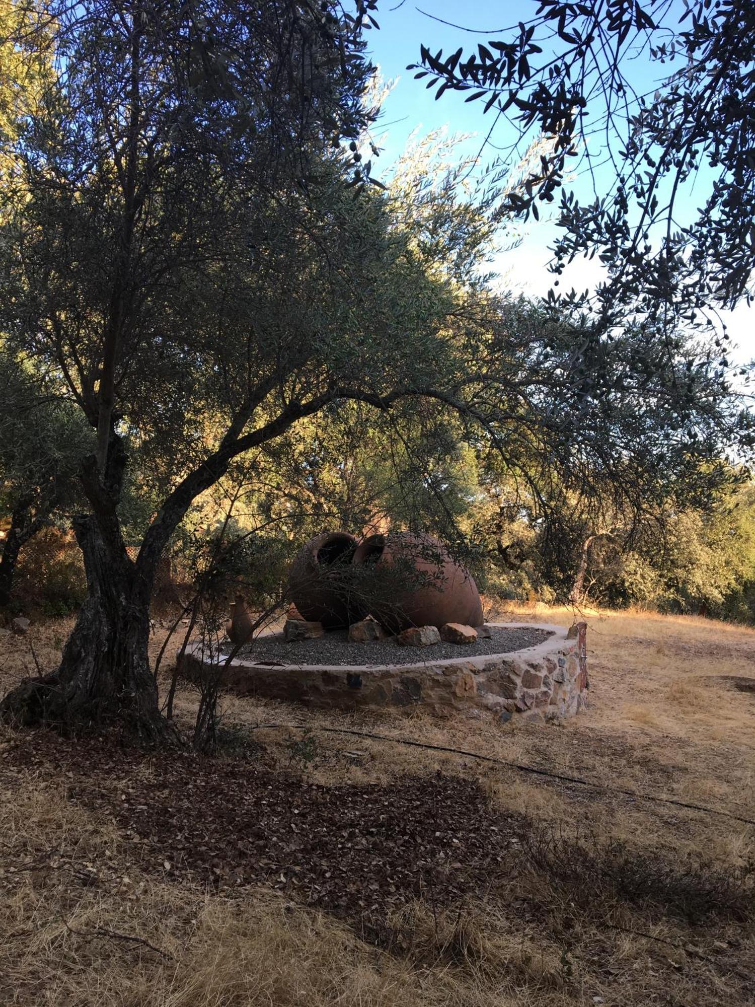 Montecruz Rural Holiday home